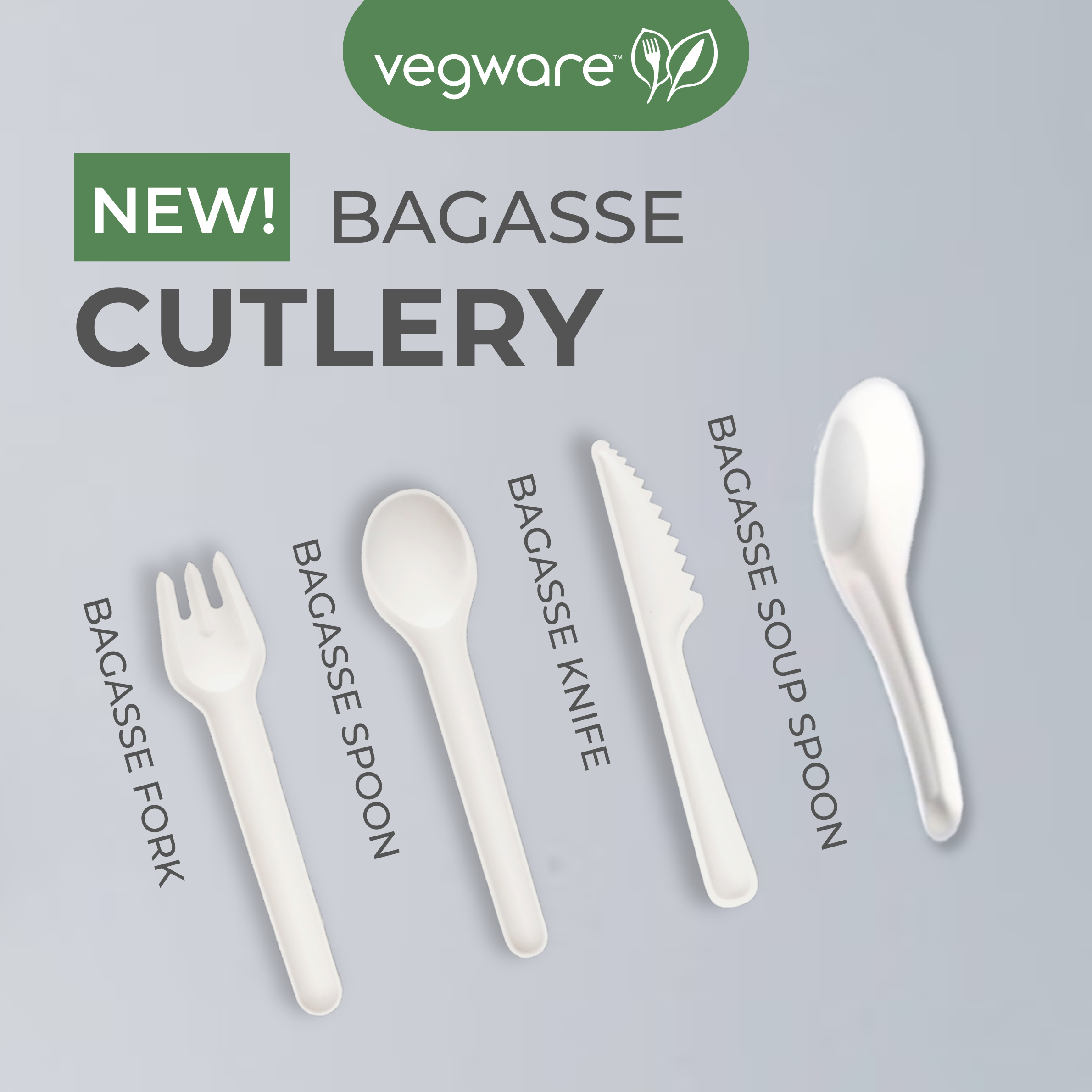 Bagasse Cutlery – Go Green, One Bite at a Time!