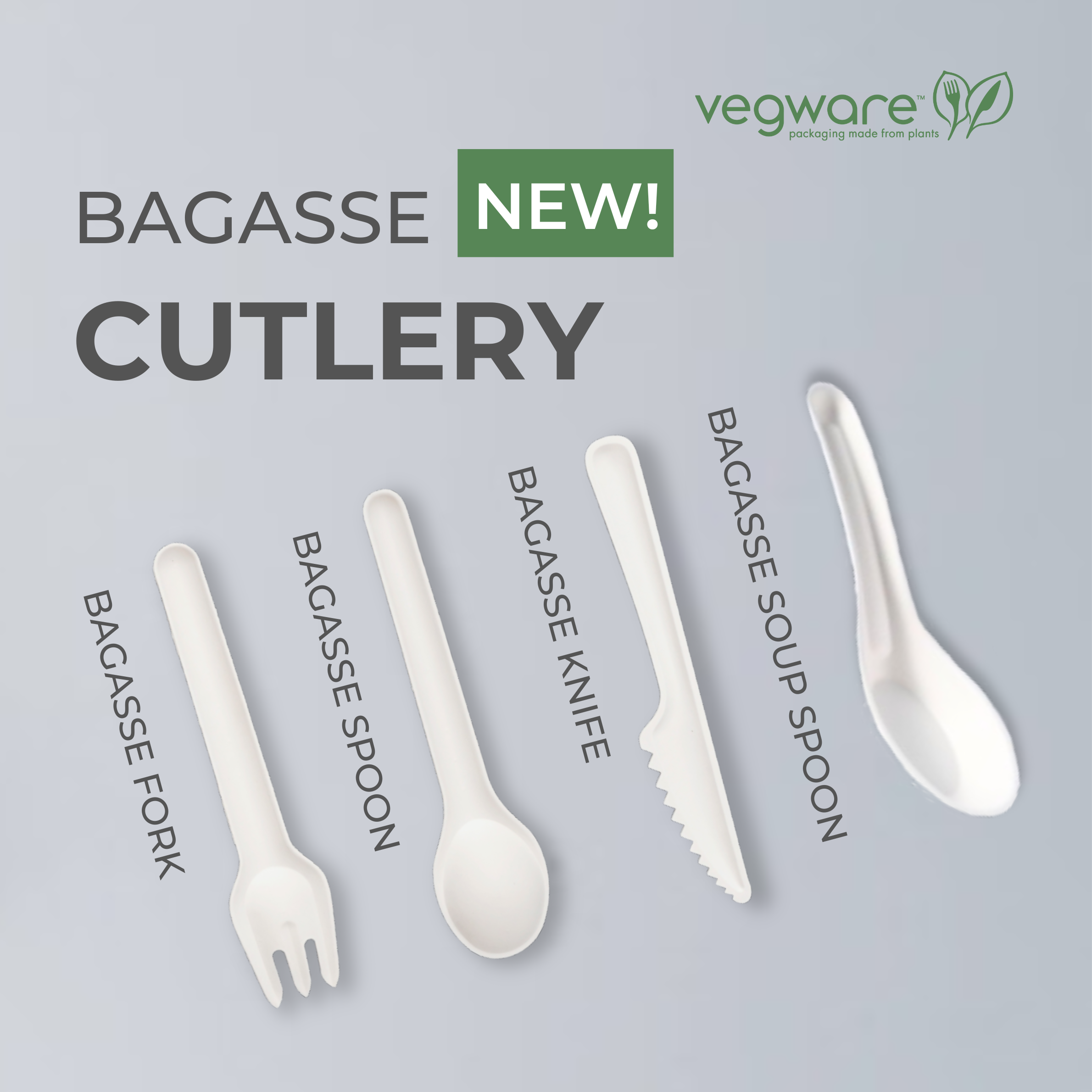 Bagasse Cutlery – Go Green, One Bite at a Time!